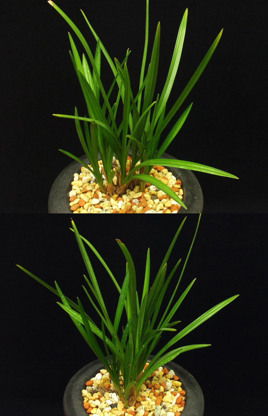 ������ ū������ �� �� �ֽ��ϴ�.