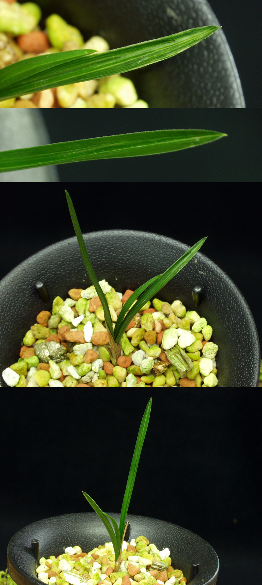 ������ ū������ �� �� �ֽ��ϴ�.