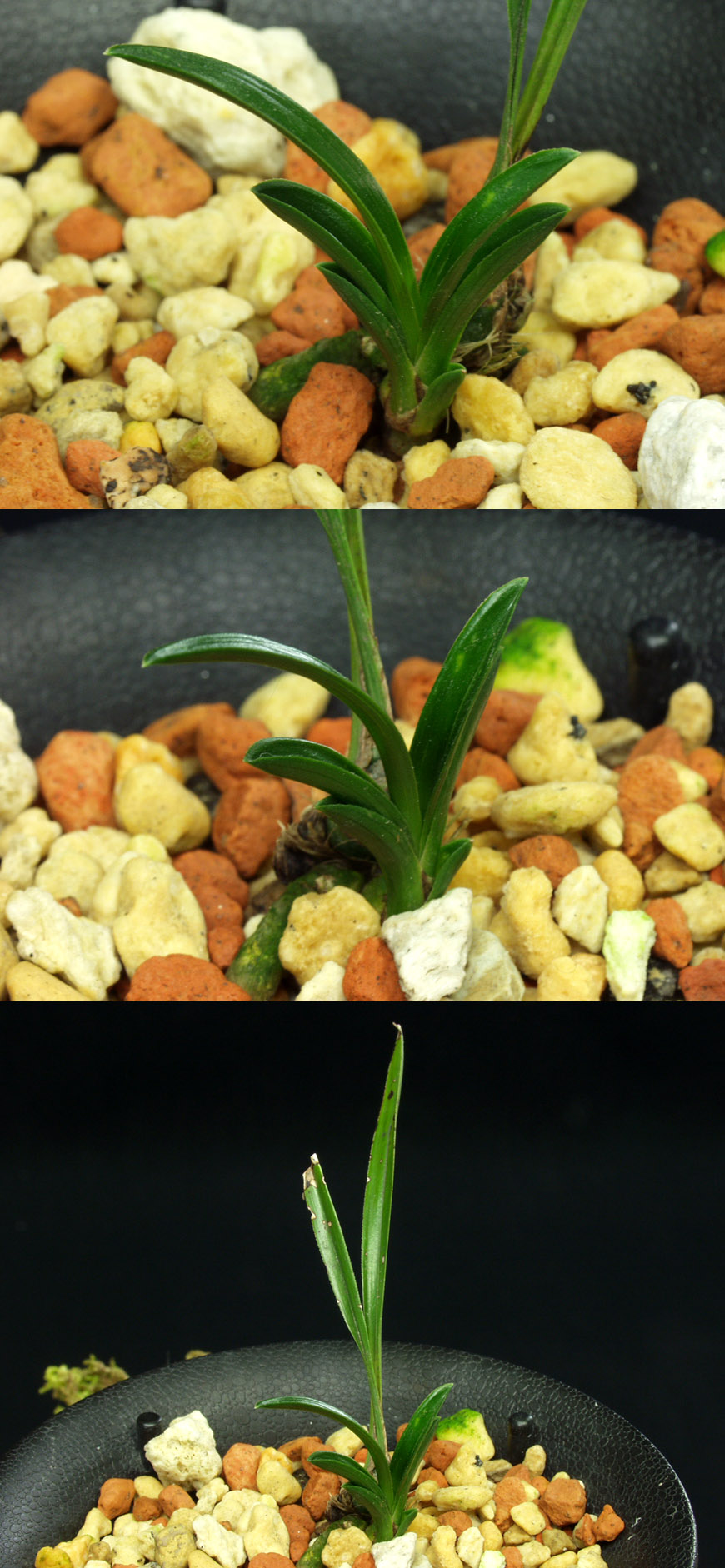 ������ ū������ �� �� �ֽ��ϴ�.