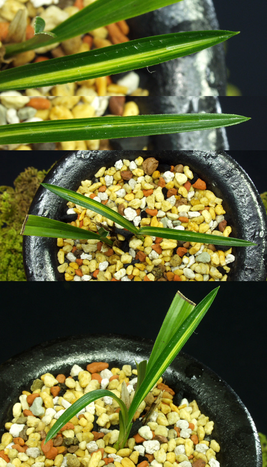 ������ ū������ �� �� �ֽ��ϴ�.