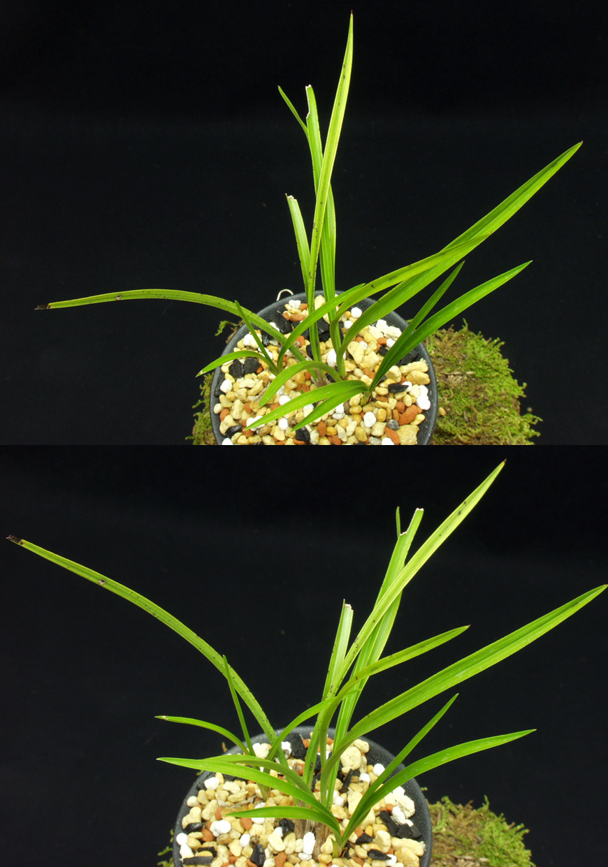 ������ ū������ �� �� �ֽ��ϴ�.