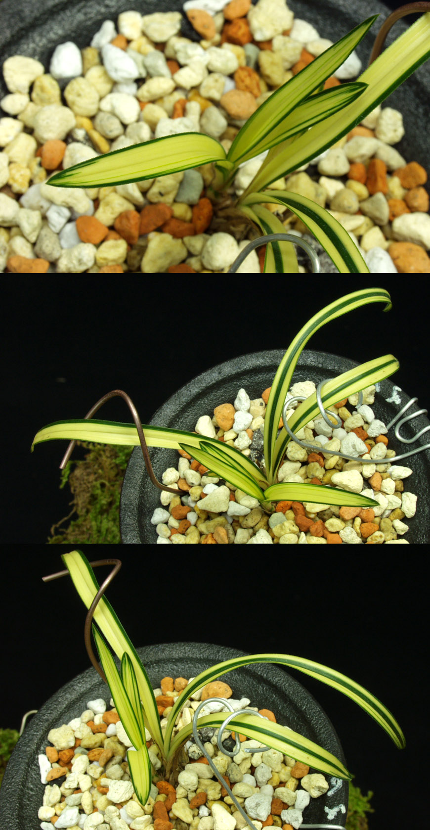 ������ ū������ �� �� �ֽ��ϴ�.