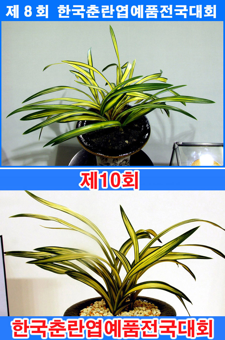 ������ ū������ �� �� �ֽ��ϴ�.