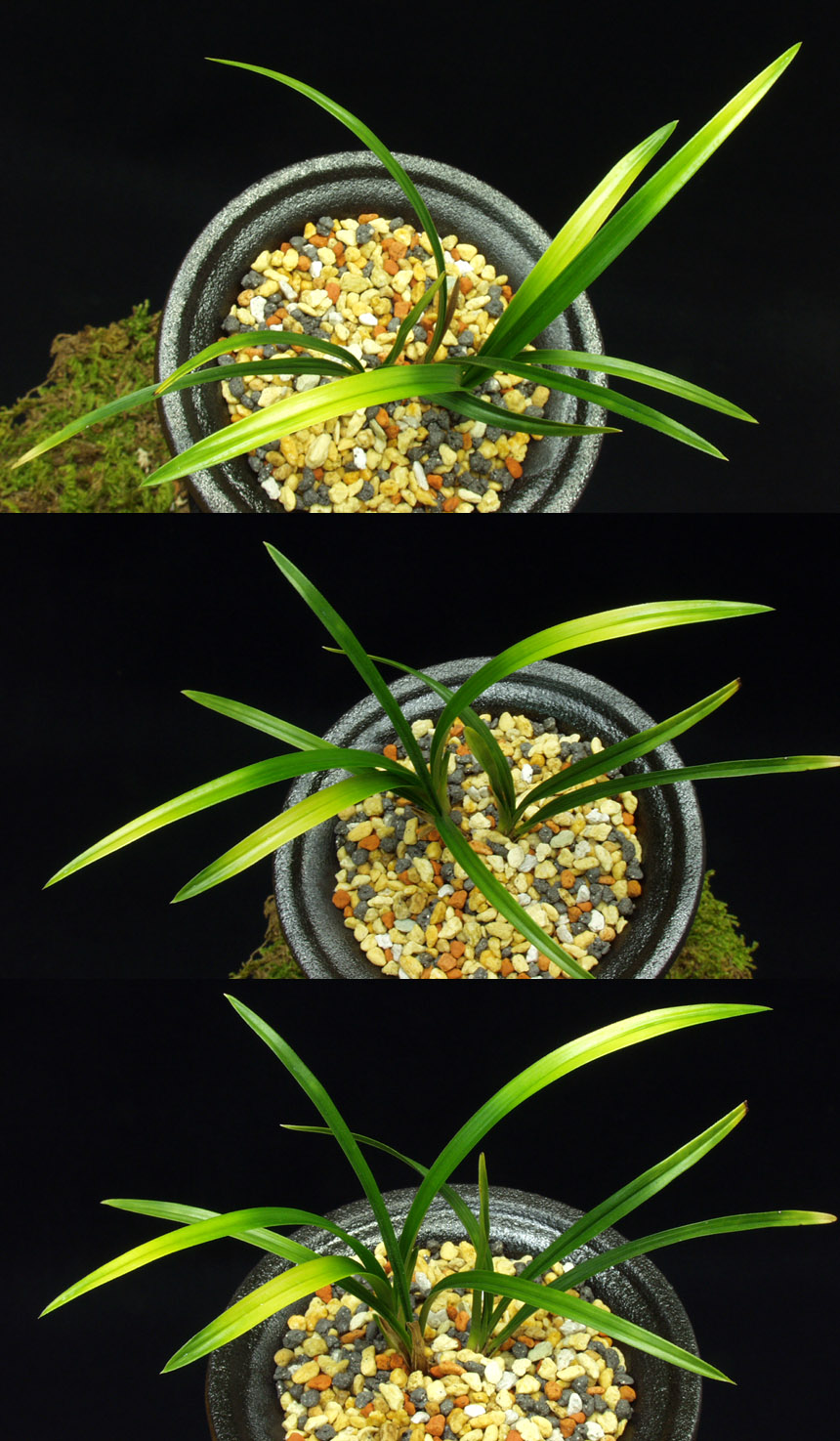 ������ ū������ �� �� �ֽ��ϴ�.