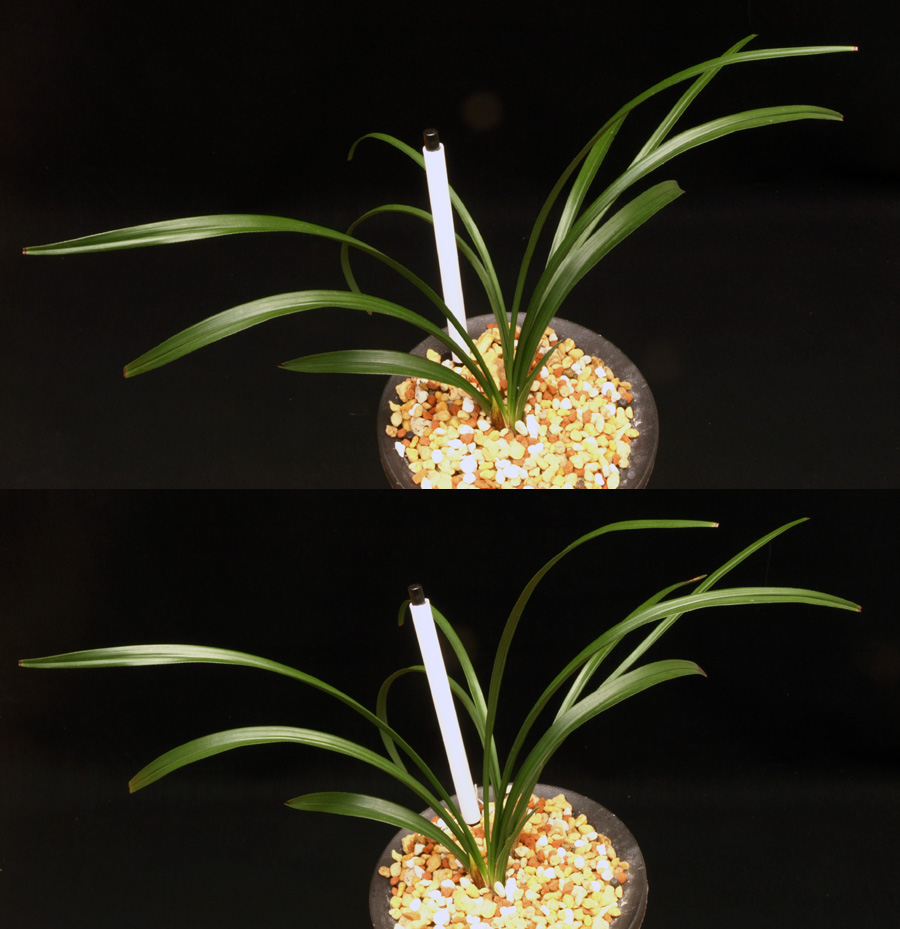 ������ ū������ �� �� �ֽ��ϴ�.