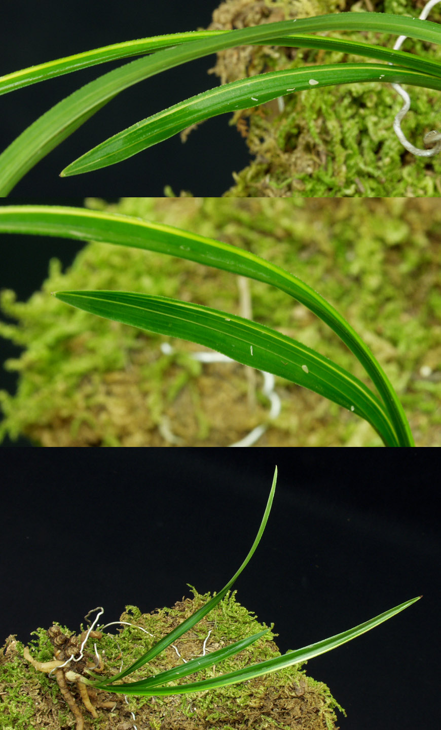 ������ ū������ �� �� �ֽ��ϴ�.