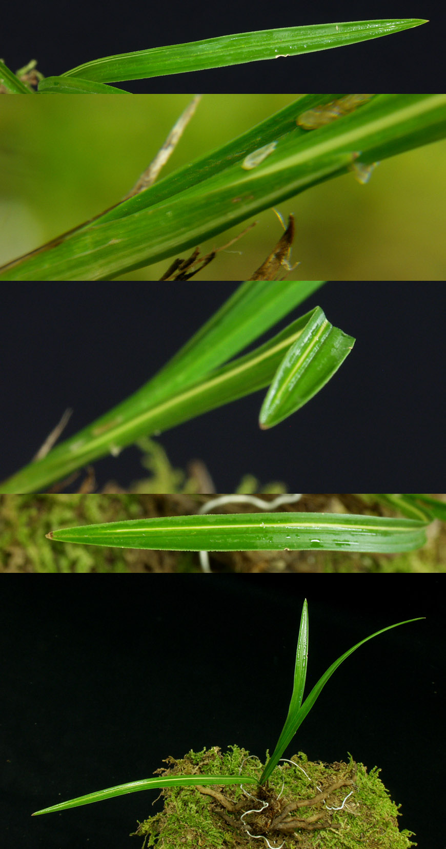 ������ ū������ �� �� �ֽ��ϴ�.