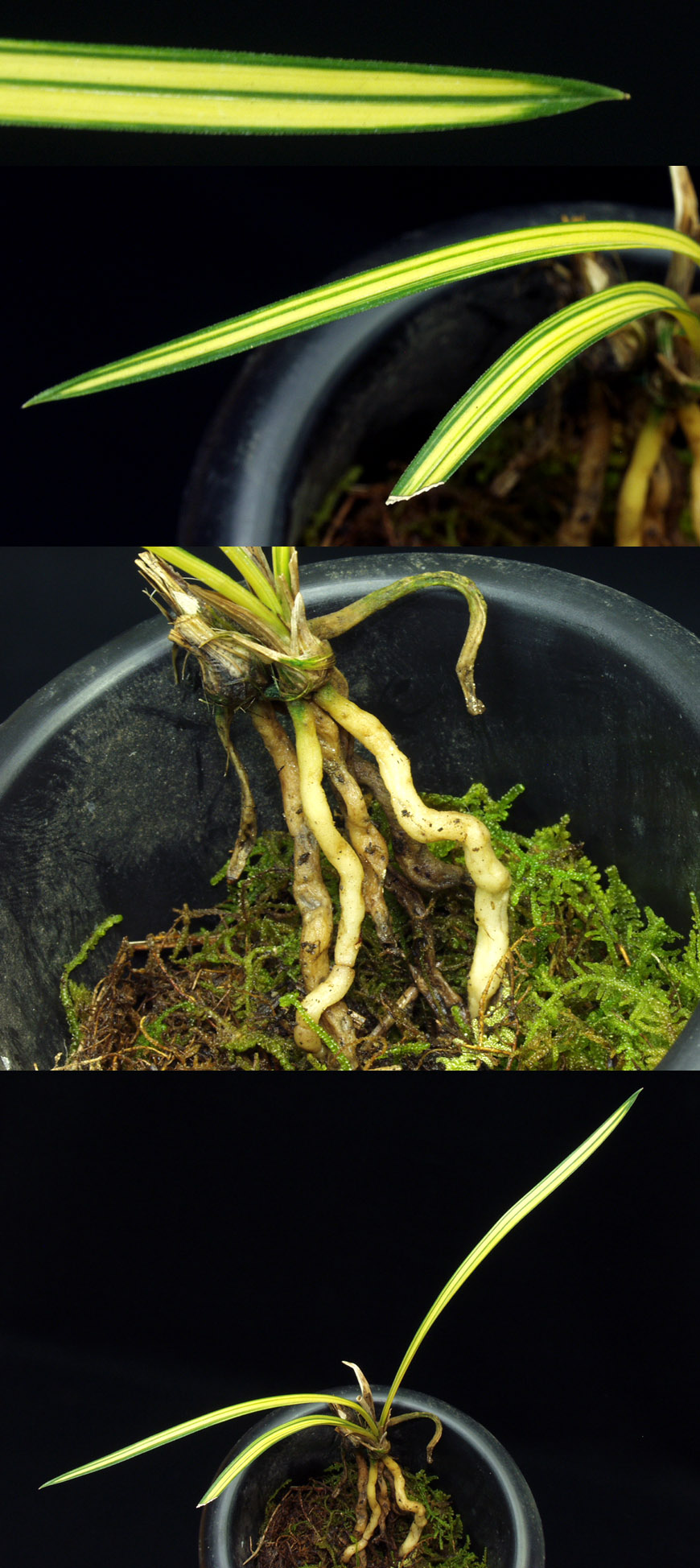 ������ ū������ �� �� �ֽ��ϴ�.