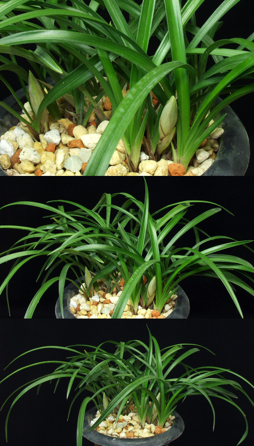 ������ ū������ �� �� �ֽ��ϴ�.