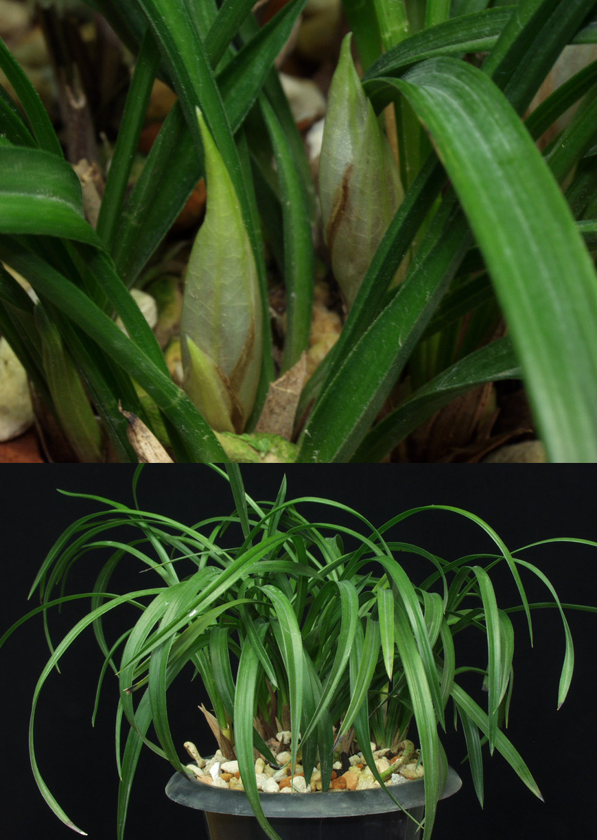 ������ ū������ �� �� �ֽ��ϴ�.