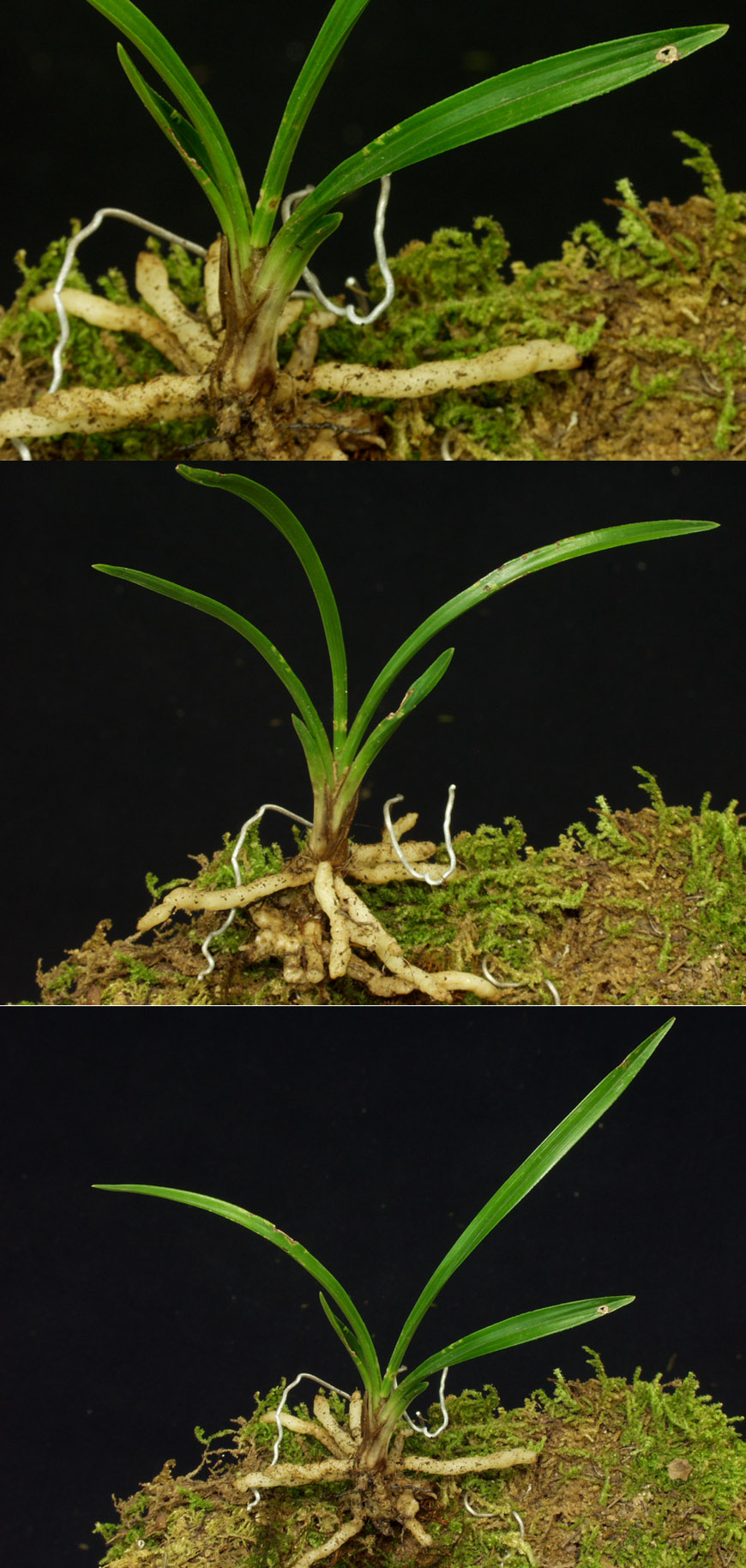 ������ ū������ �� �� �ֽ��ϴ�.