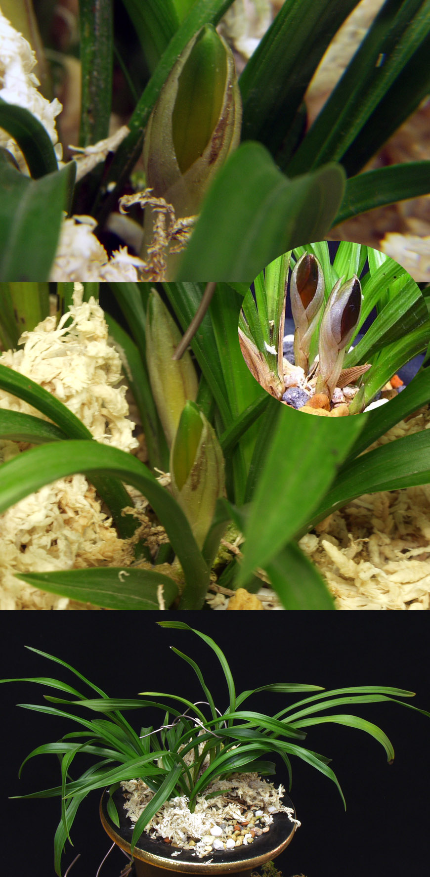 ������ ū������ �� �� �ֽ��ϴ�.