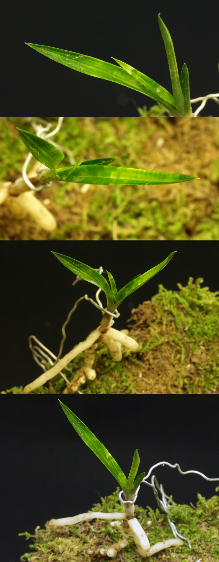 ������ ū������ �� �� �ֽ��ϴ�.