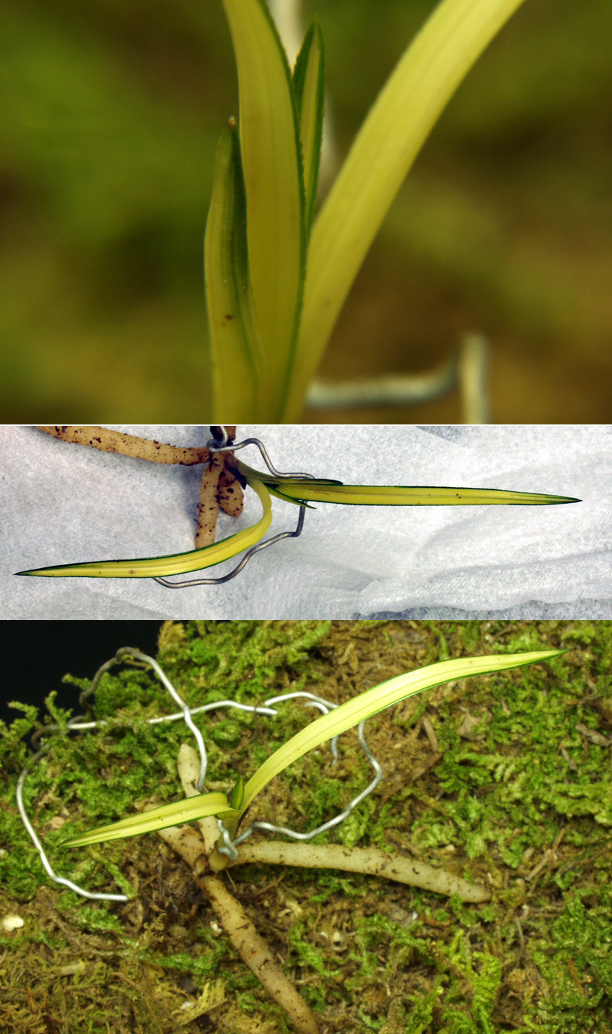 ������ ū������ �� �� �ֽ��ϴ�.