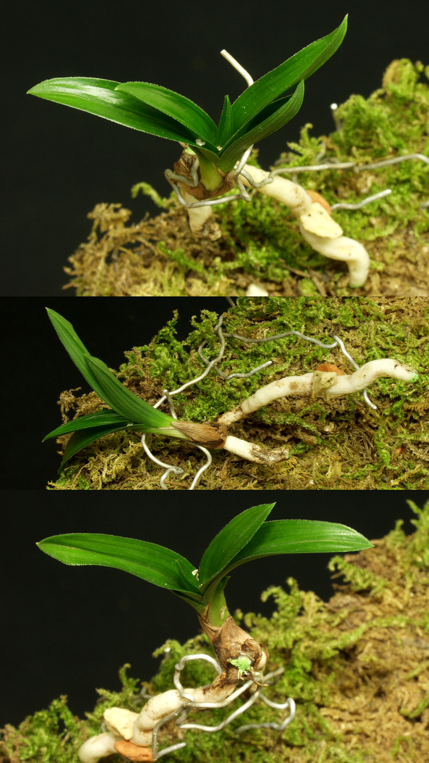 ������ ū������ �� �� �ֽ��ϴ�.