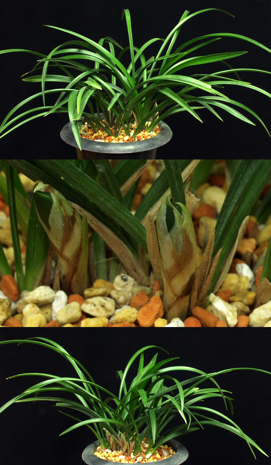 ������ ū������ �� �� �ֽ��ϴ�.