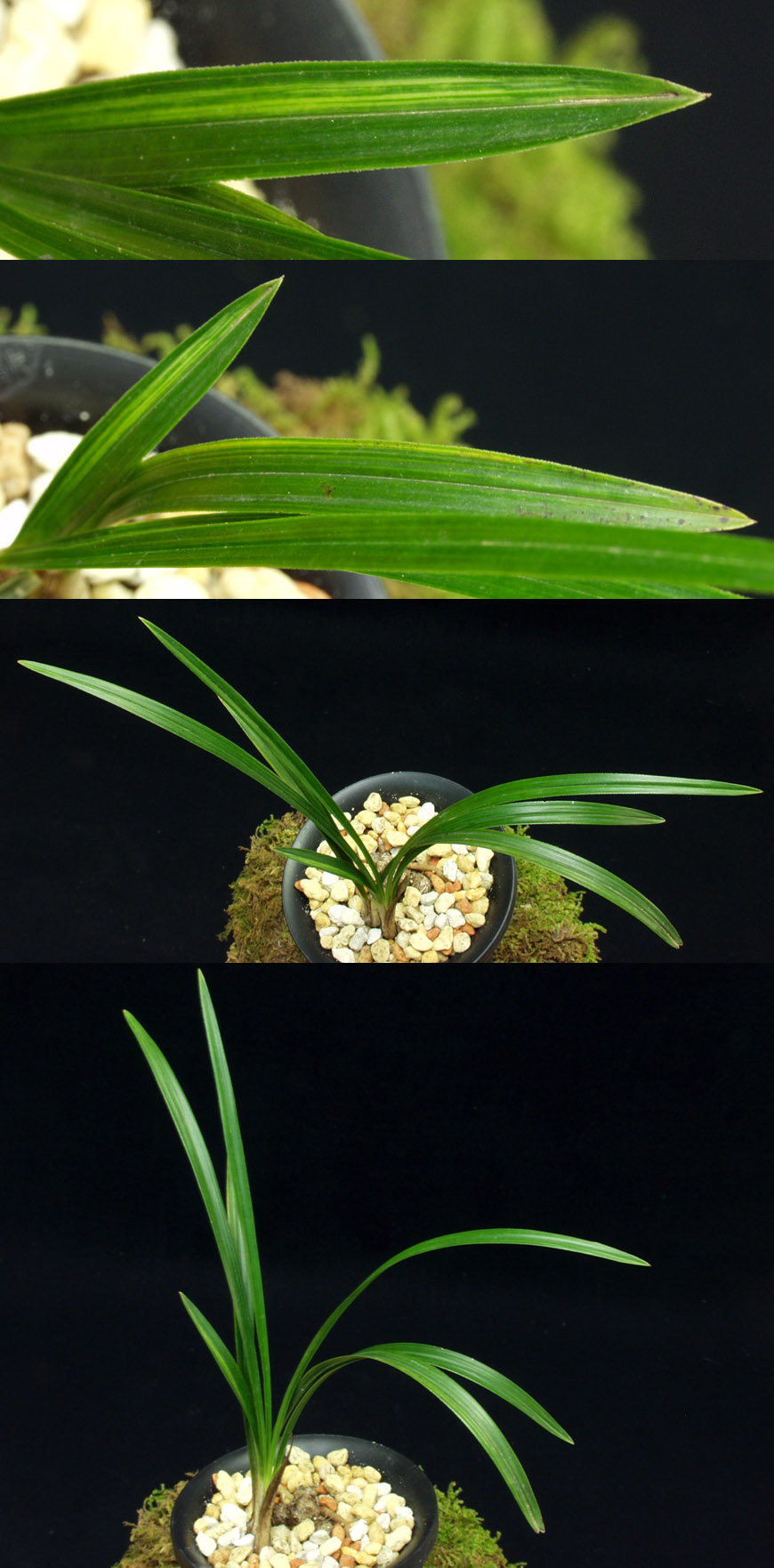 ������ ū������ �� �� �ֽ��ϴ�.