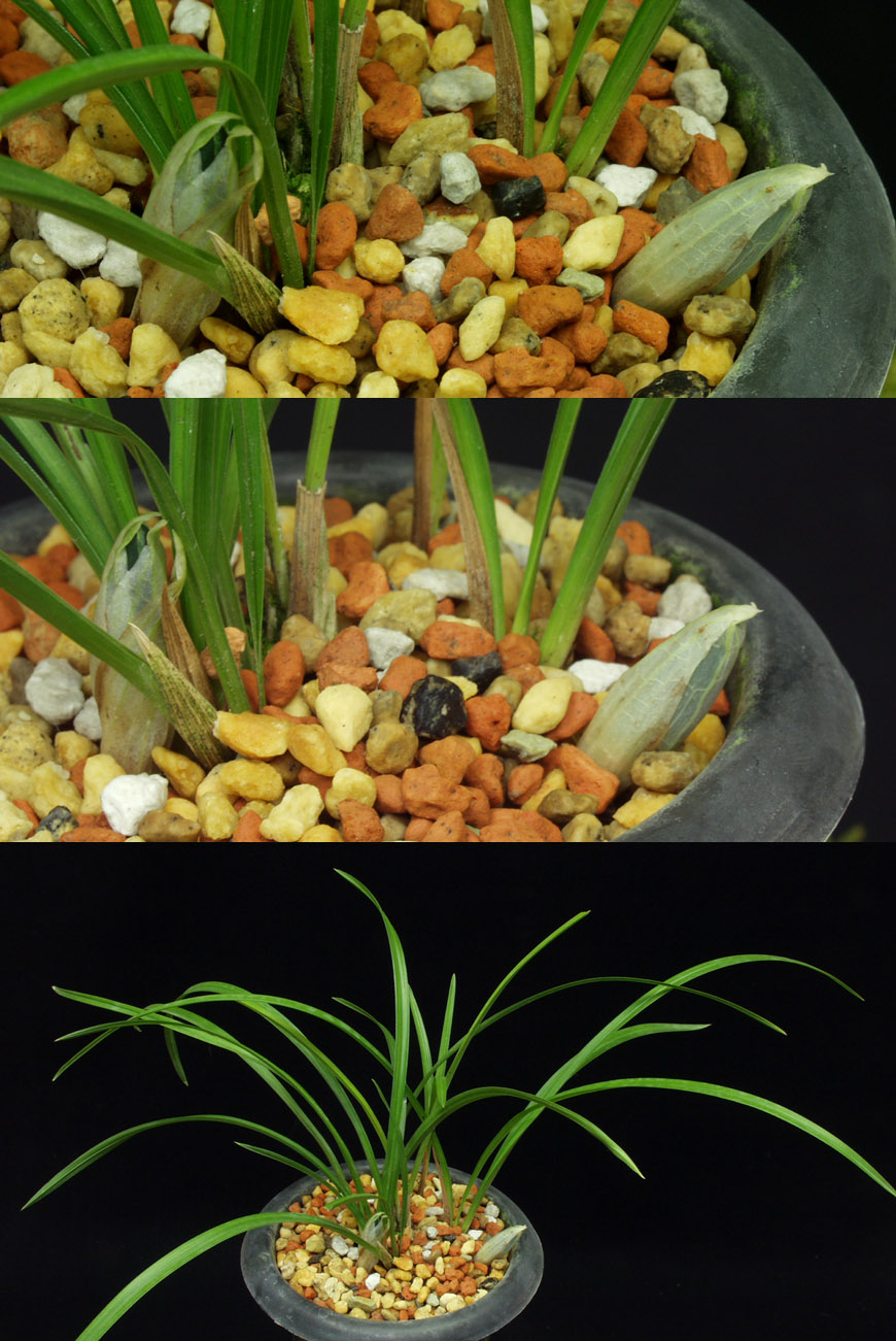 ������ ū������ �� �� �ֽ��ϴ�.