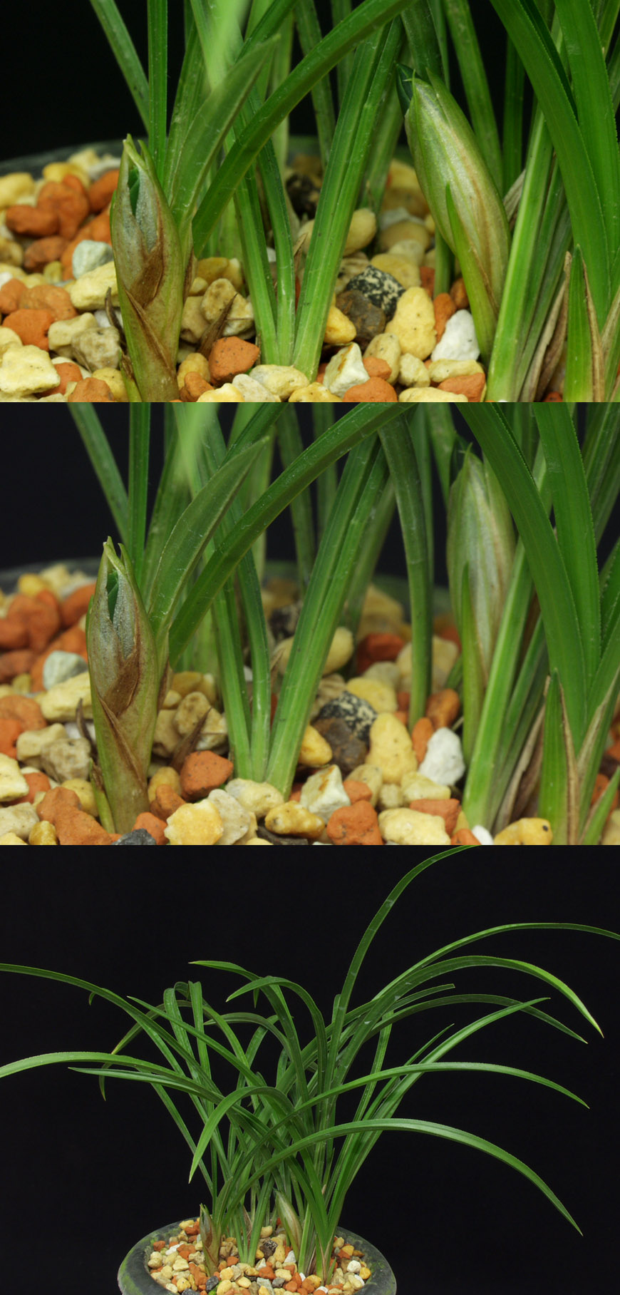 ������ ū������ �� �� �ֽ��ϴ�.