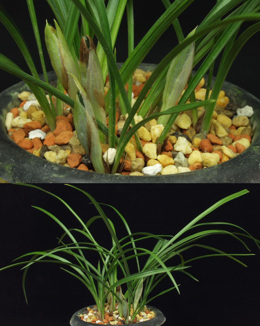 ������ ū������ �� �� �ֽ��ϴ�.