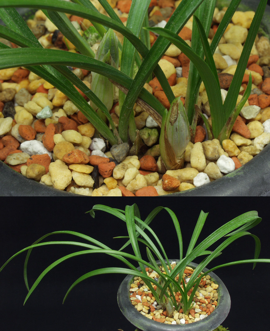 ������ ū������ �� �� �ֽ��ϴ�.