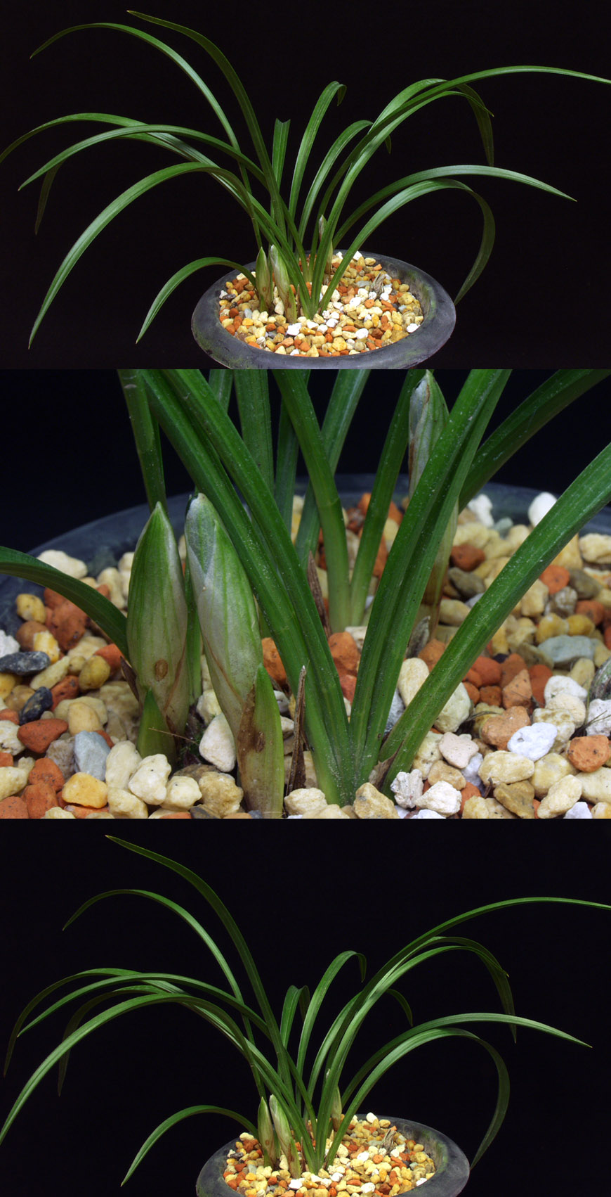 ������ ū������ �� �� �ֽ��ϴ�.