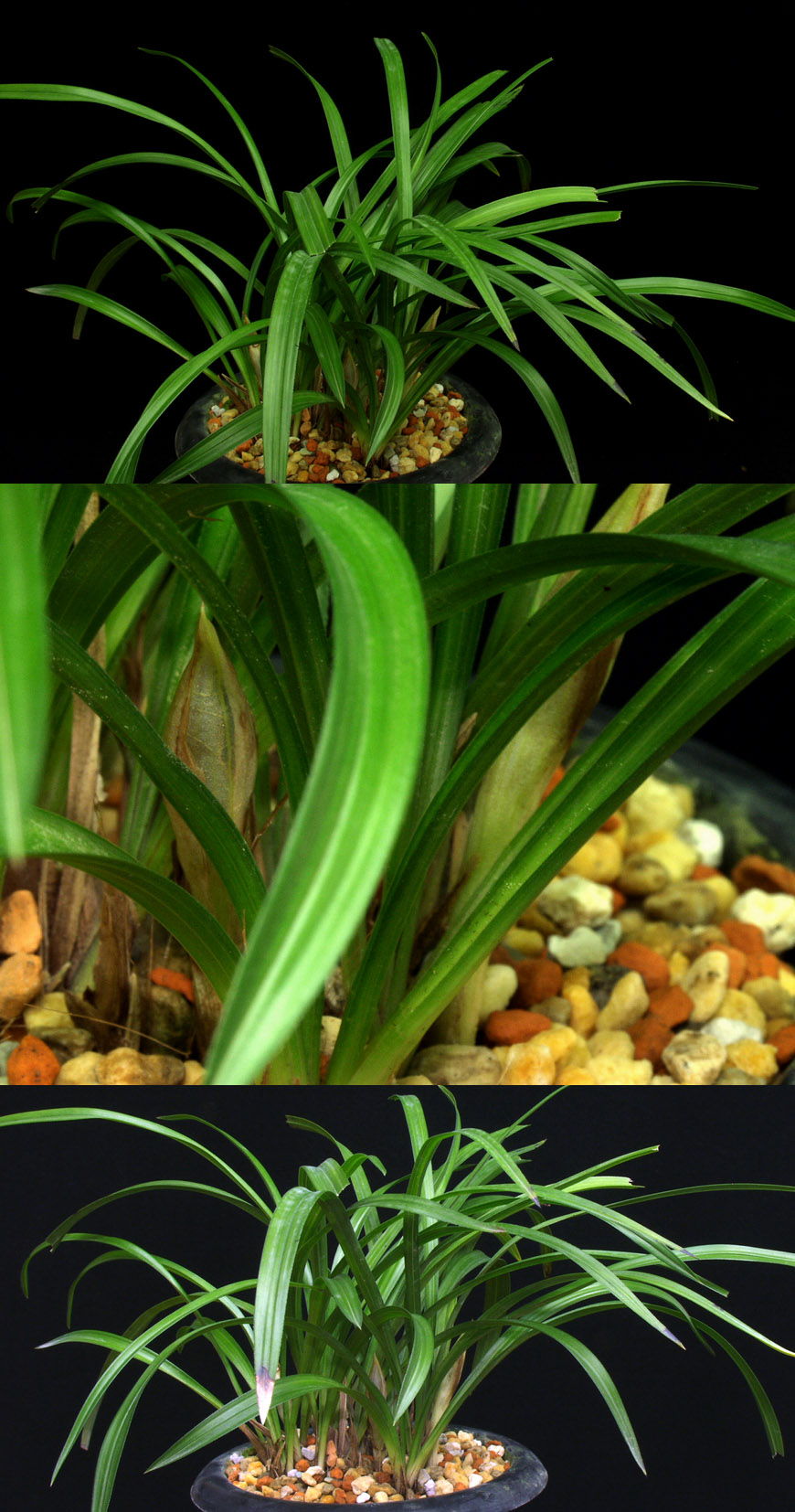 ������ ū������ �� �� �ֽ��ϴ�.