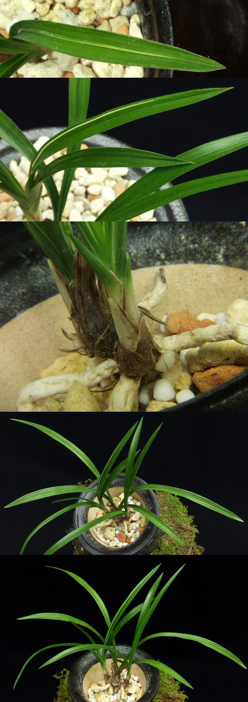 ������ ū������ �� �� �ֽ��ϴ�.