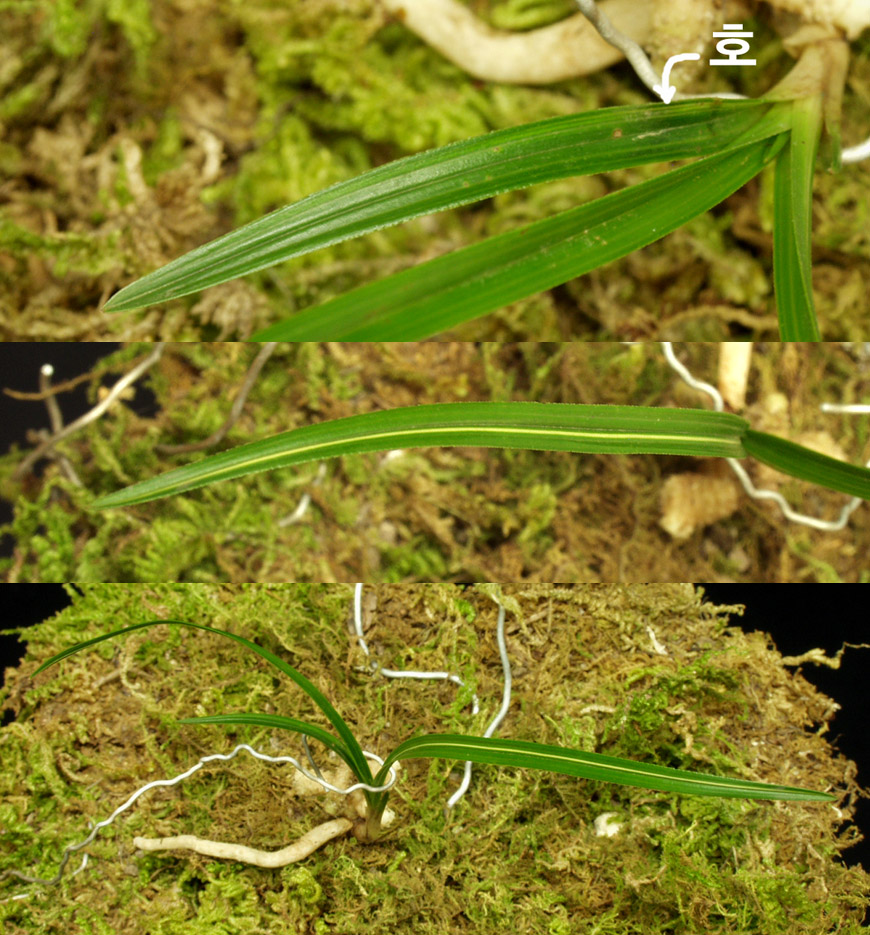 ������ ū������ �� �� �ֽ��ϴ�.