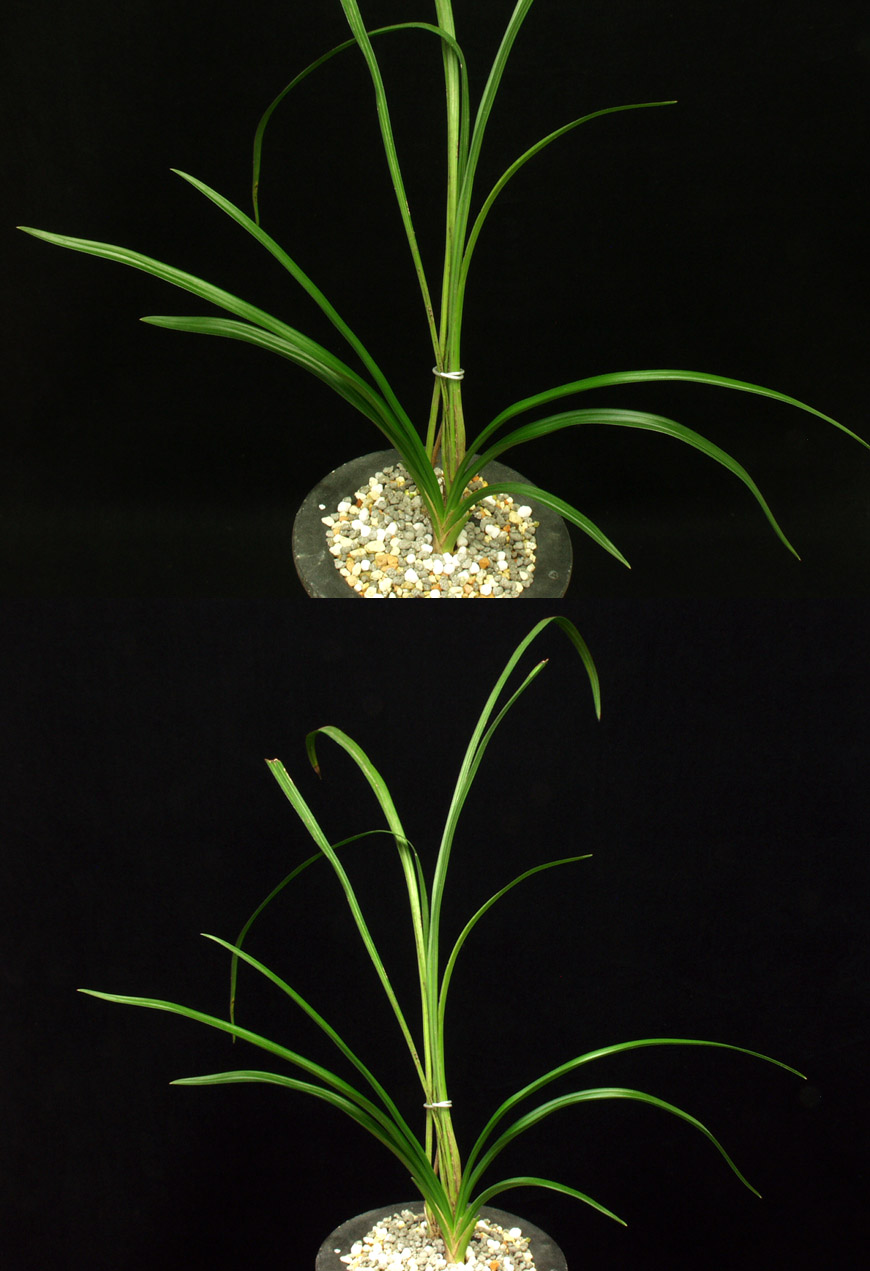 ������ ū������ �� �� �ֽ��ϴ�.