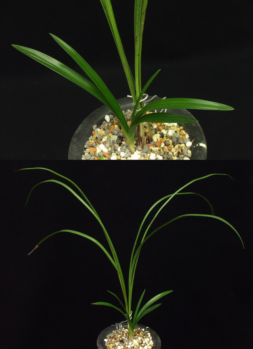 ������ ū������ �� �� �ֽ��ϴ�.