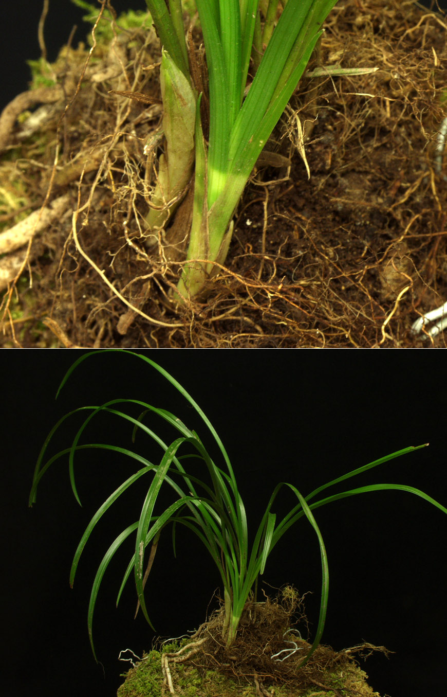 ������ ū������ �� �� �ֽ��ϴ�.