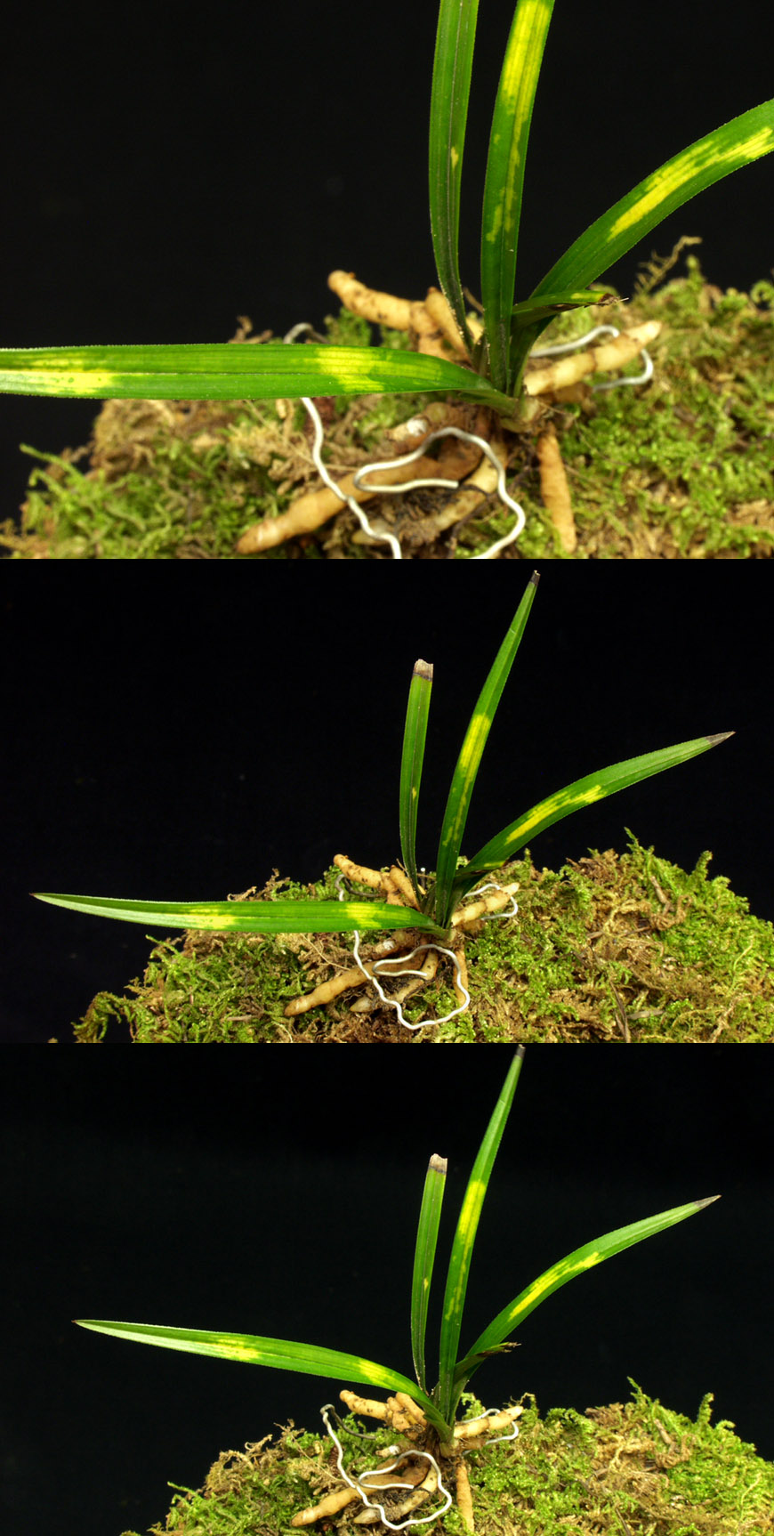 ������ ū������ �� �� �ֽ��ϴ�.