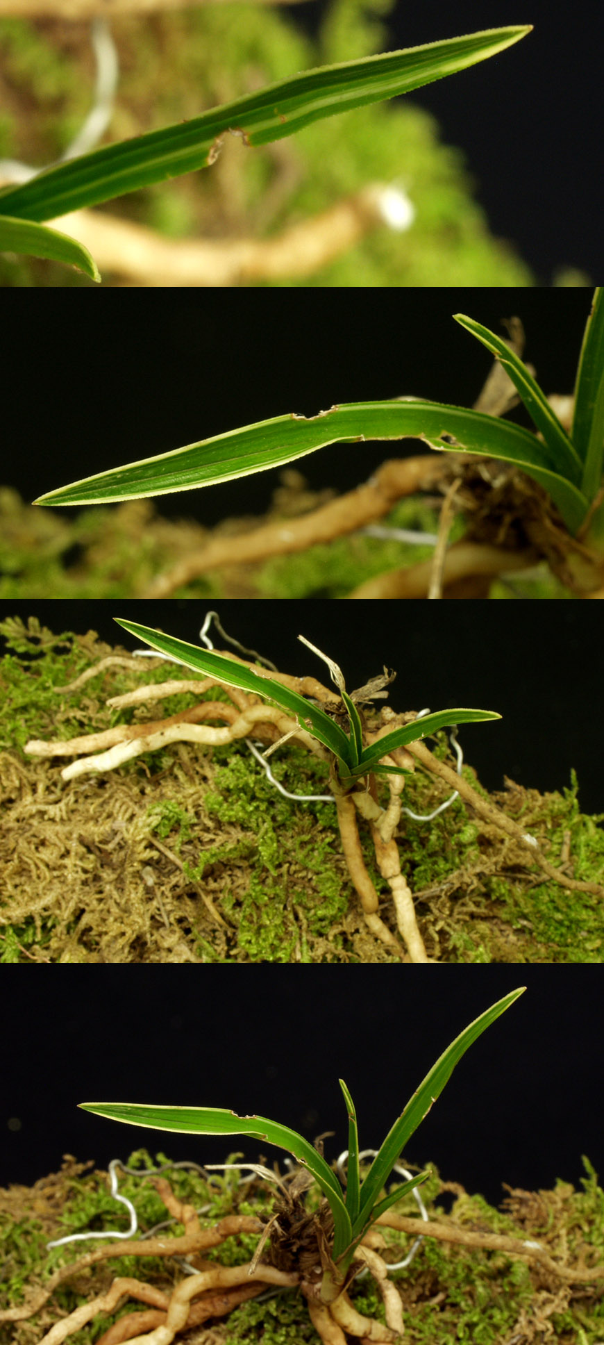 ������ ū������ �� �� �ֽ��ϴ�.