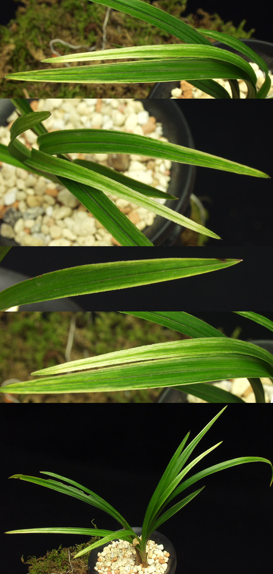 ������ ū������ �� �� �ֽ��ϴ�.