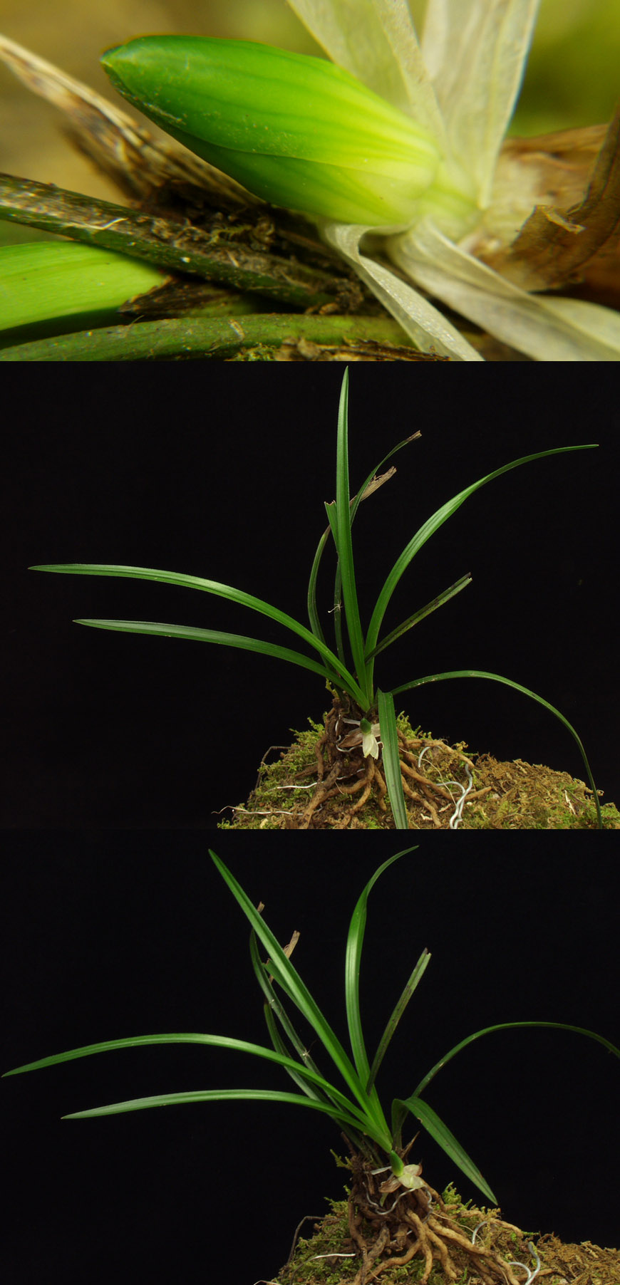 ������ ū������ �� �� �ֽ��ϴ�.