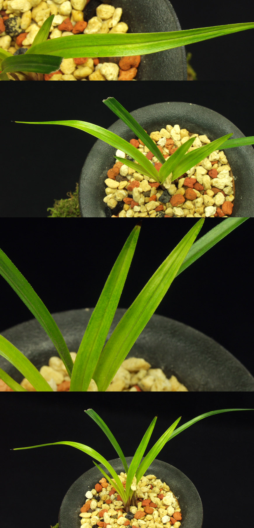 ������ ū������ �� �� �ֽ��ϴ�.