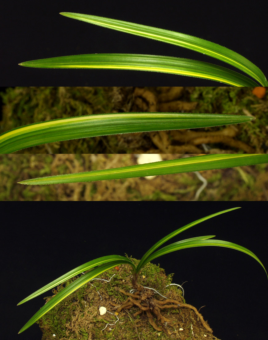 ������ ū������ �� �� �ֽ��ϴ�.