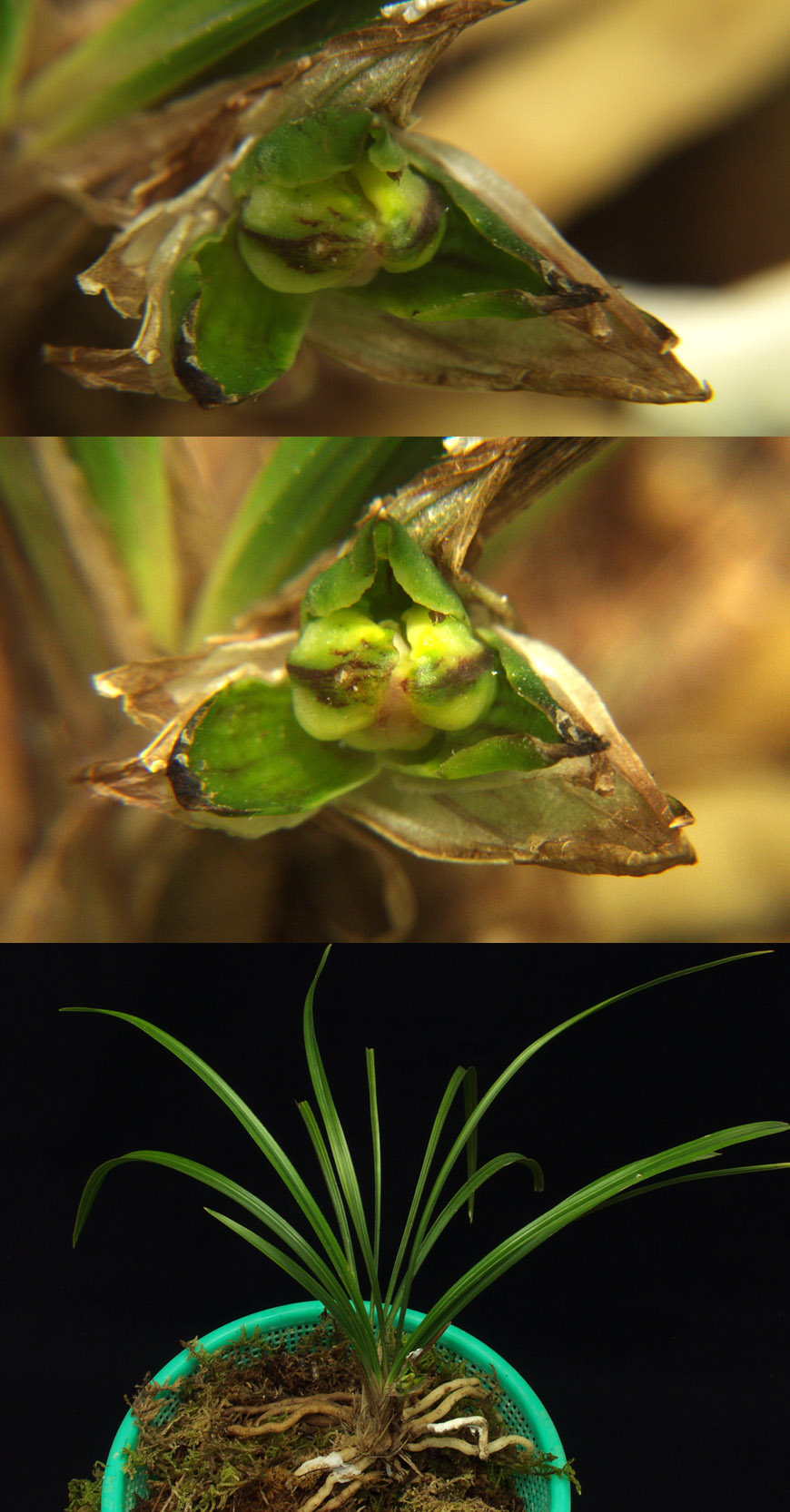 ������ ū������ �� �� �ֽ��ϴ�.