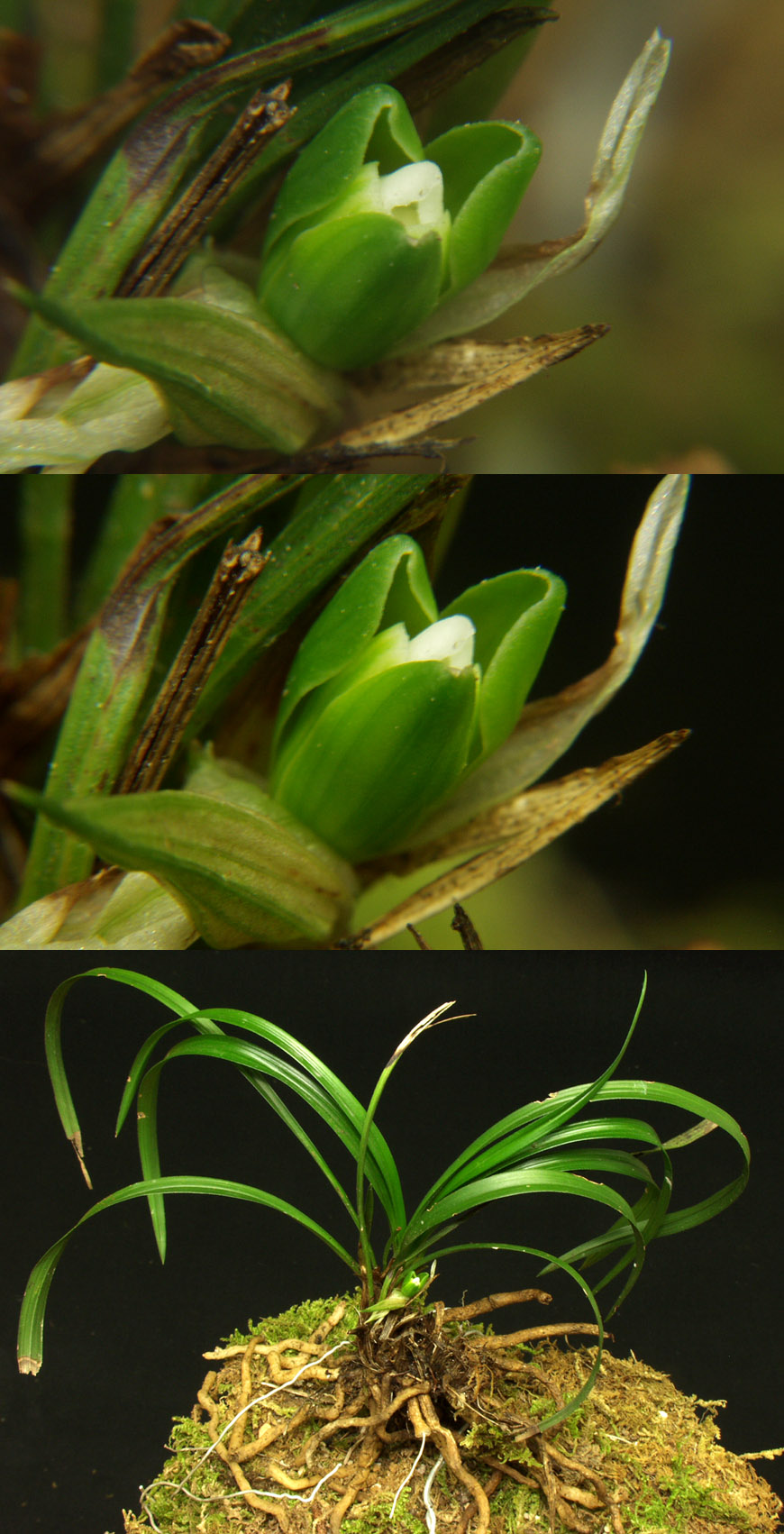 ������ ū������ �� �� �ֽ��ϴ�.