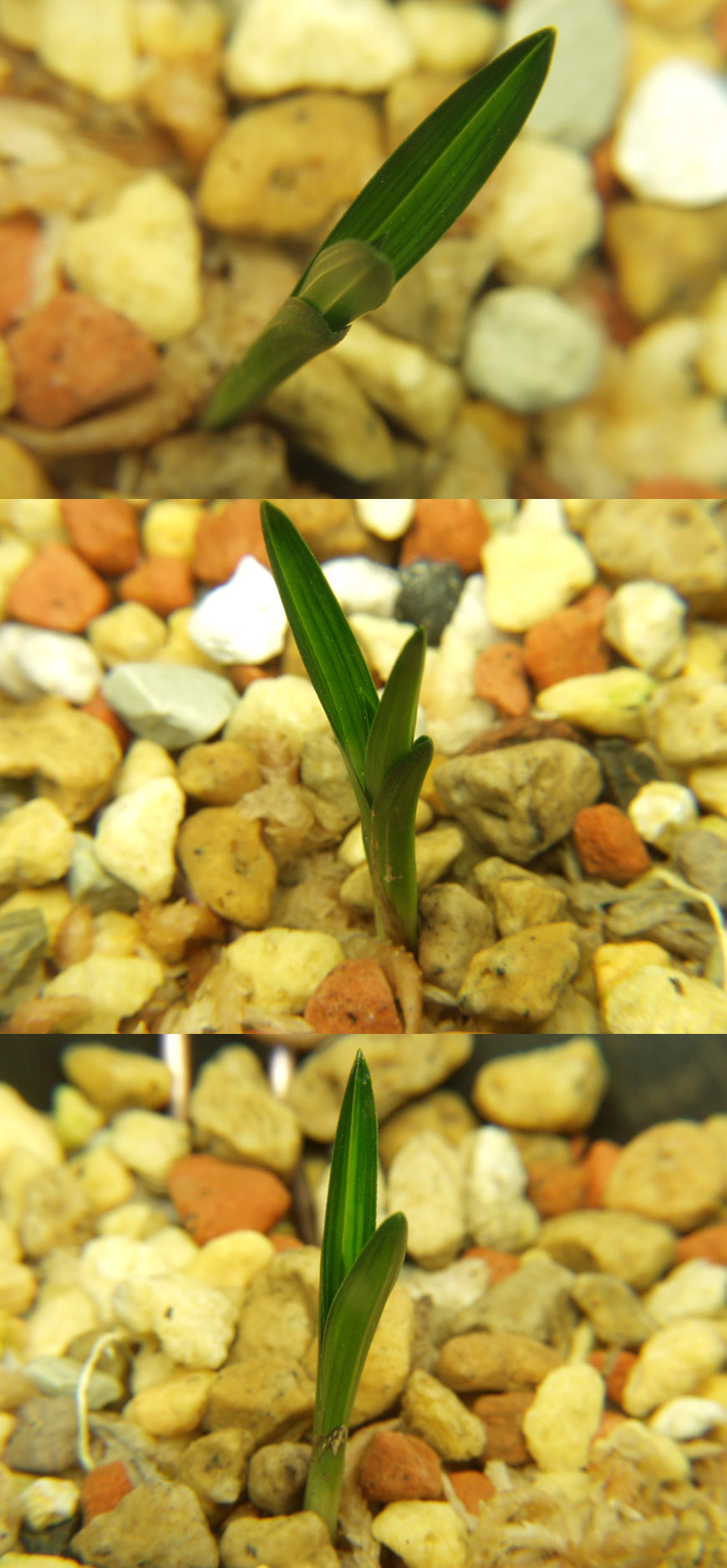 ������ ū������ �� �� �ֽ��ϴ�.