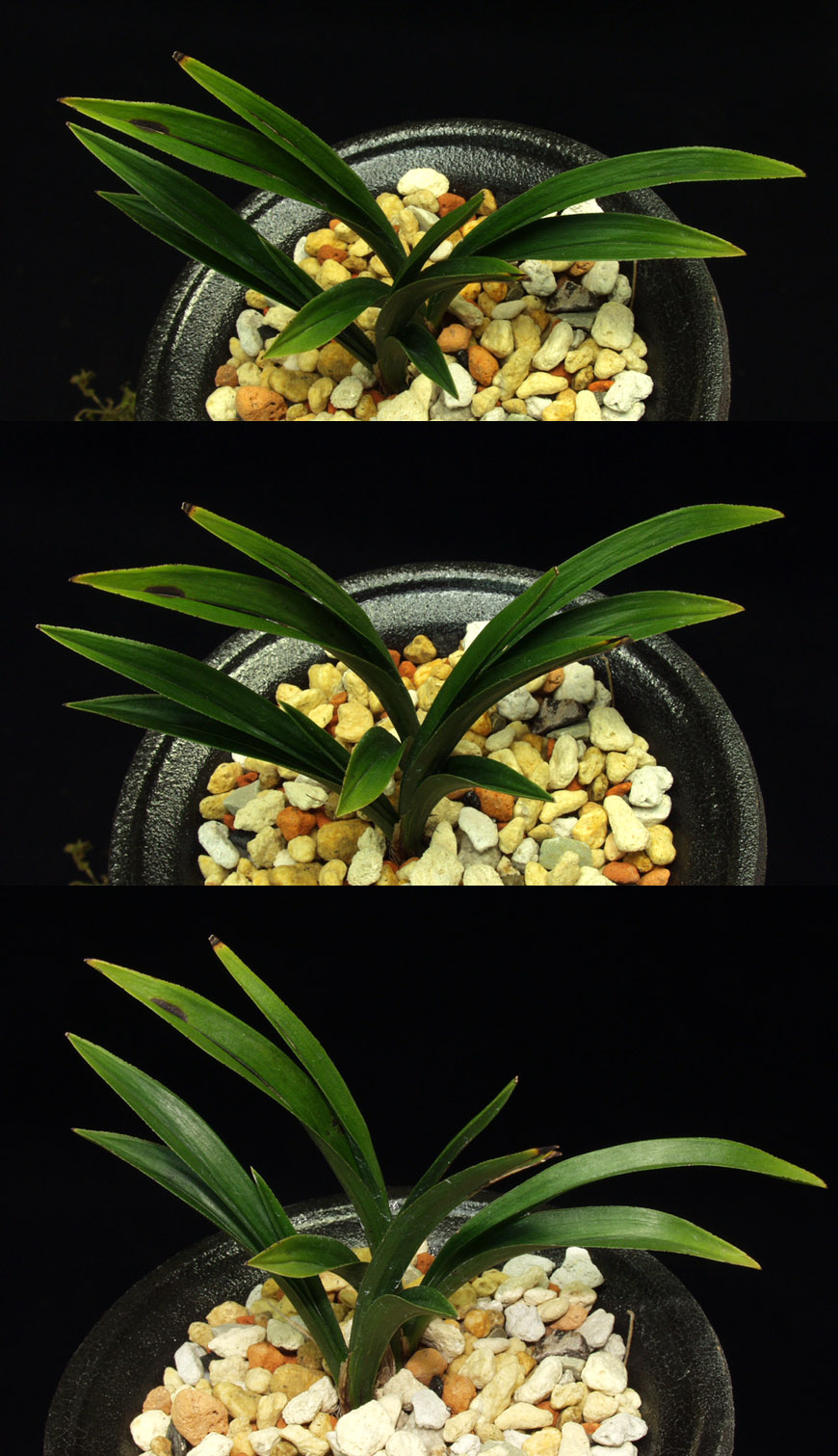 ������ ū������ �� �� �ֽ��ϴ�.