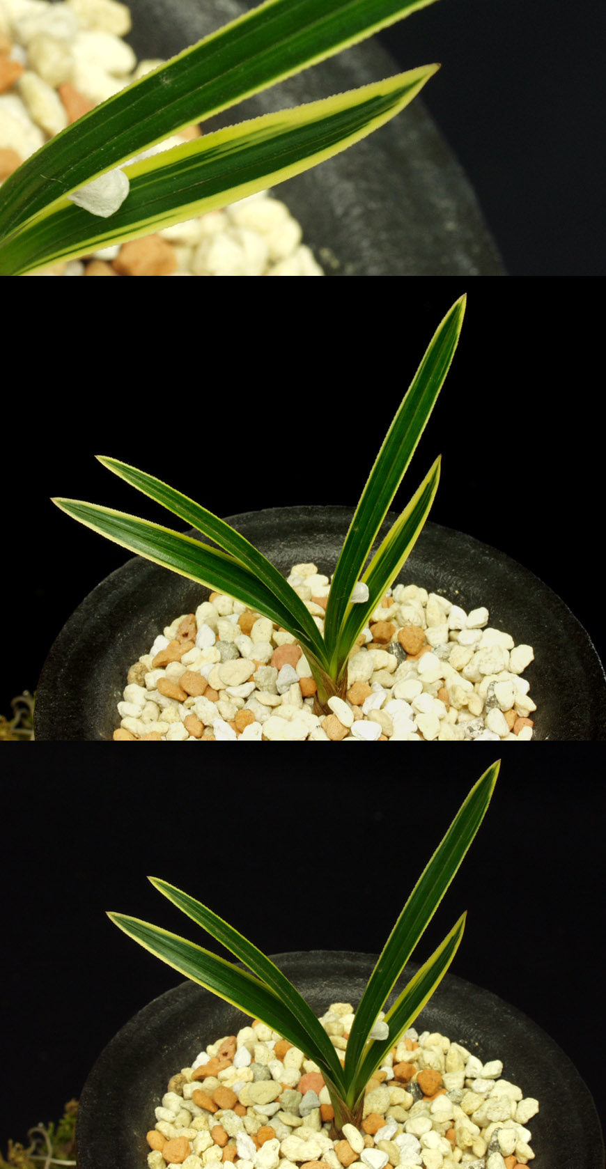 ������ ū������ �� �� �ֽ��ϴ�.