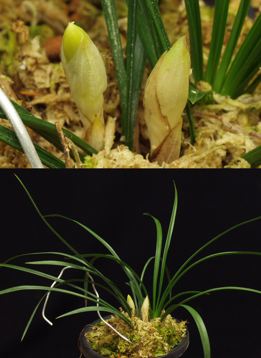 ������ ū������ �� �� �ֽ��ϴ�.