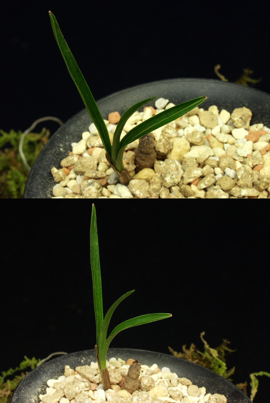 ������ ū������ �� �� �ֽ��ϴ�.