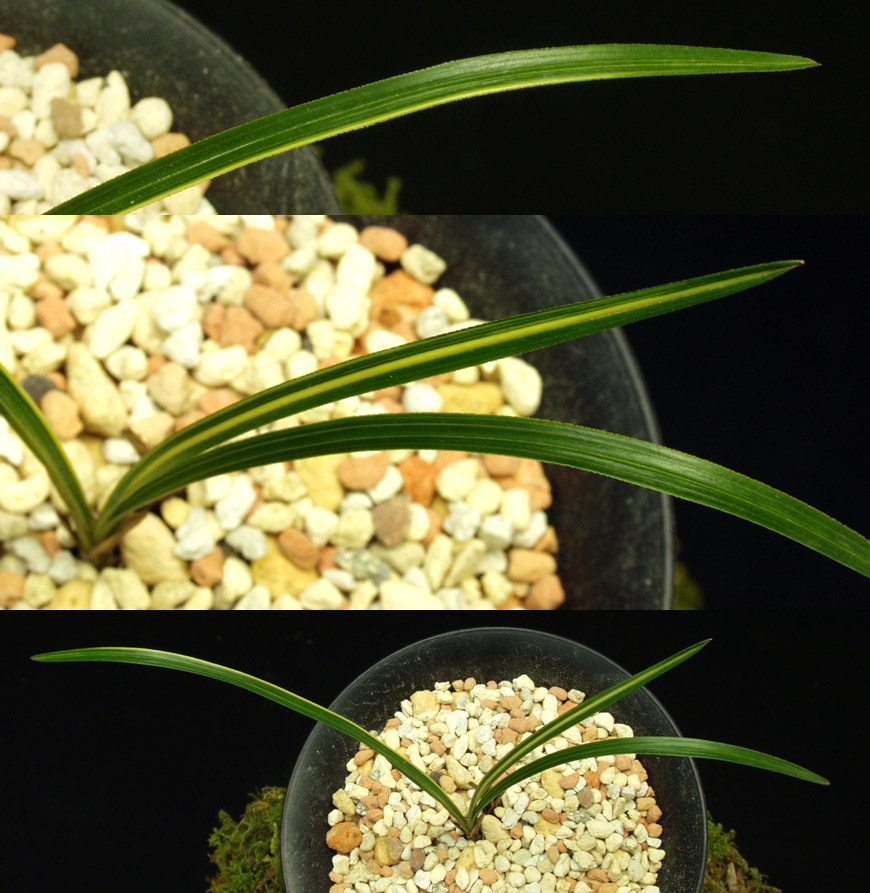 ������ ū������ �� �� �ֽ��ϴ�.