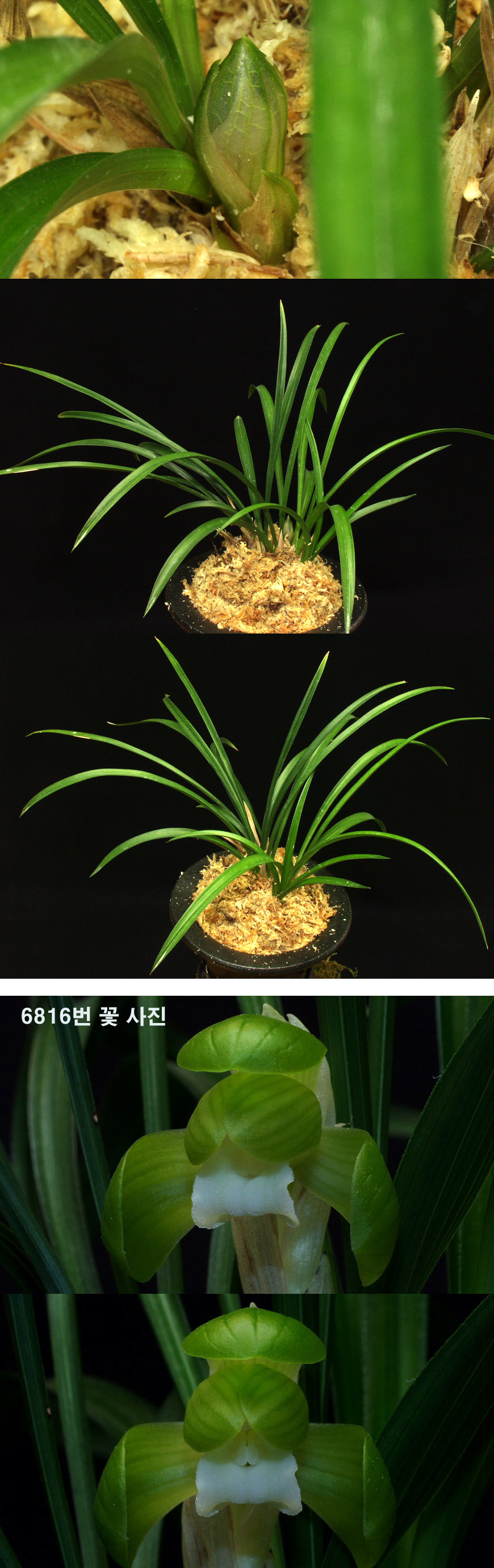 ������ ū������ �� �� �ֽ��ϴ�.