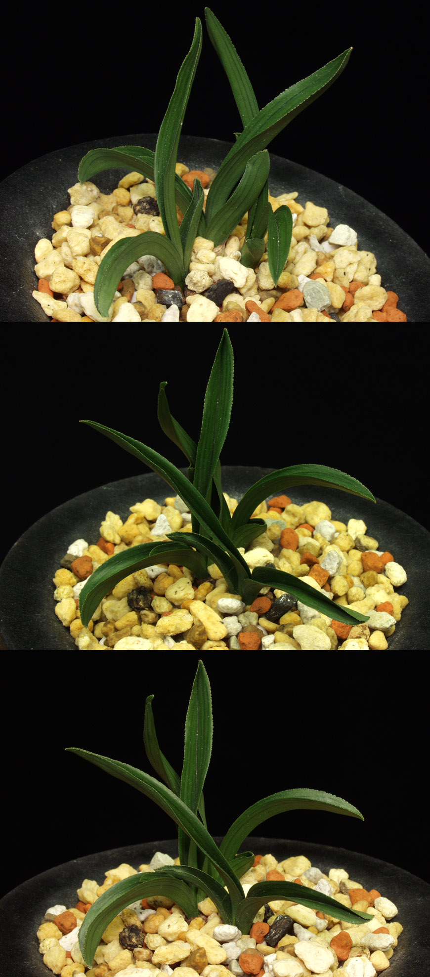 ������ ū������ �� �� �ֽ��ϴ�.