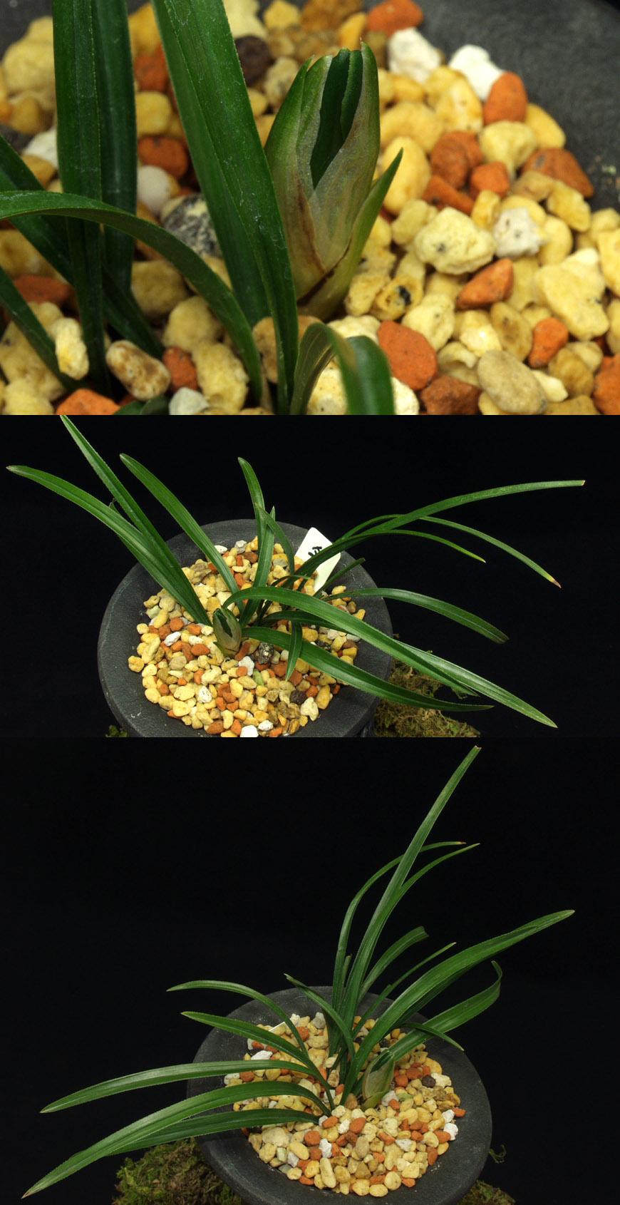 ������ ū������ �� �� �ֽ��ϴ�.