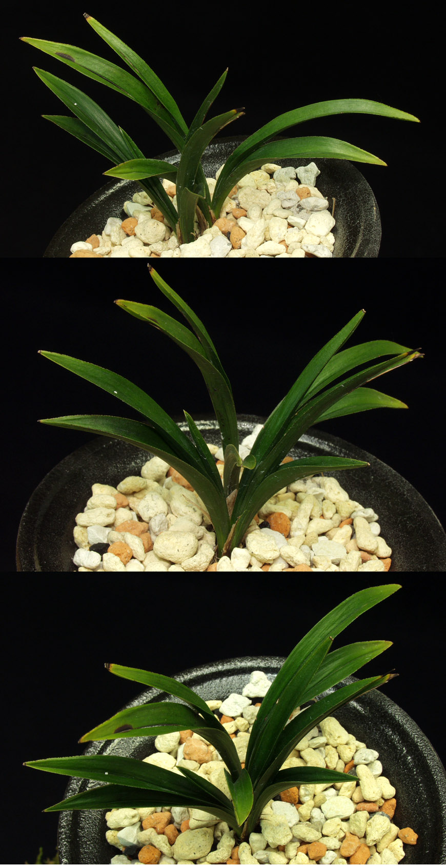 ������ ū������ �� �� �ֽ��ϴ�.